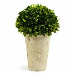 12.25'' Boxwood Topiary In Ceramic Planter