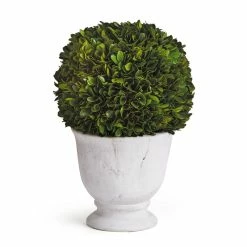 12'' Boxwood Topiary In Ceramic Pot