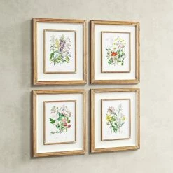 'Garden Botanical' - 4 Piece Picture Frame Painting Print Set On Paper -BirchLane Sales Store 27GardenBotanical27 4PiecePictureFramePaintingPrintSetonPaper 2