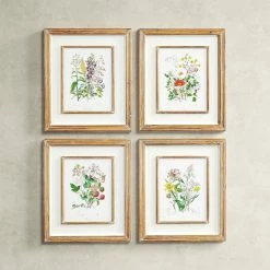 'Garden Botanical' - 4 Piece Picture Frame Painting Print Set On Paper
