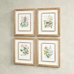 'Garden Botanical' - 4 Piece Picture Frame Painting Print Set On Paper -BirchLane Sales Store 27GardenBotanical27 4PiecePictureFramePaintingPrintSetonPaper 3
