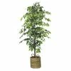 72'' Faux Ficus Tree In Rattan Basket
