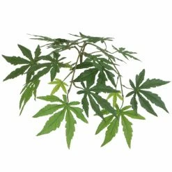 84'' Faux Maple Plant In Pot -BirchLane Sales Store 842727FauxMaplePlantinPot 3