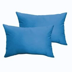 Almeda Indoor/Outdoor Throw Pillow