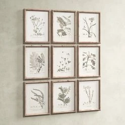 Botanical -BirchLane Sales Store Botanical 2