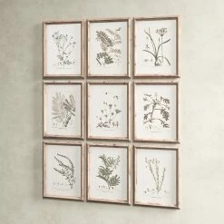 Botanical -BirchLane Sales Store Botanical 3