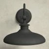 Coledale Steel Wall Light