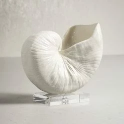 Lakefield Shell Sculpture 7 Lakefield Shell Sculpture -BirchLane Sales Store LakefieldShellSculpture 2