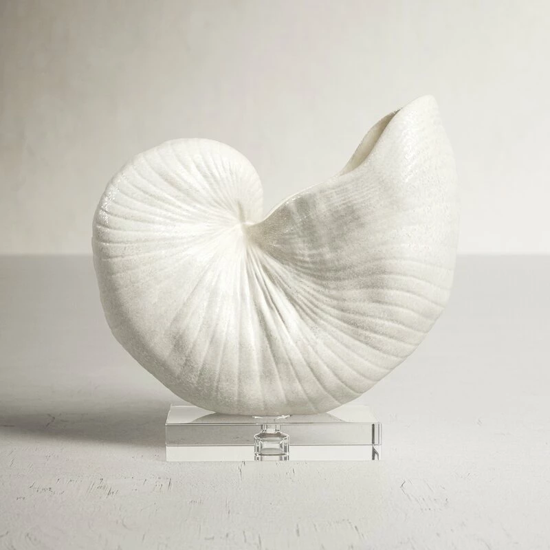 Lakefield Shell Sculpture 1 Lakefield Shell Sculpture