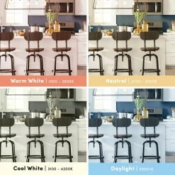 Lilibet 4.5 Watt Dimmable LED White Bulb -BirchLane Sales Store Lilibet4.5WattDimmableLEDWhiteBulb 3