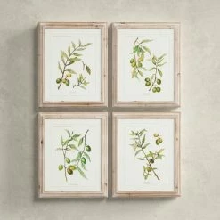 Olive Leaf Botanical