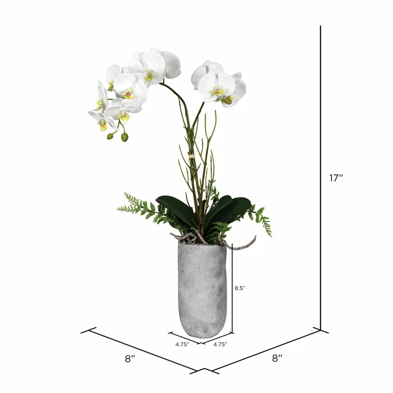 Orchids Floral Arrangement In Pot 2 Orchids Floral Arrangement In Pot - Image 2