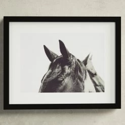 Partner - Picture Frame Photograph Print On Paper