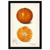 Still Life By Birch Lane™ - Picture Frame Print