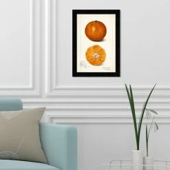 Still Life By Birch Lane™ - Picture Frame Print -BirchLane Sales Store StillLifebyBirchLaneE284A2 PictureFramePrint 2