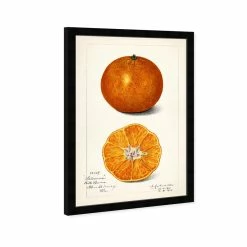 Still Life By Birch Lane™ - Picture Frame Print -BirchLane Sales Store StillLifebyBirchLaneE284A2 PictureFramePrint 4